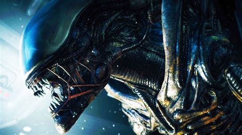 alien youtube|Alien (1979) .